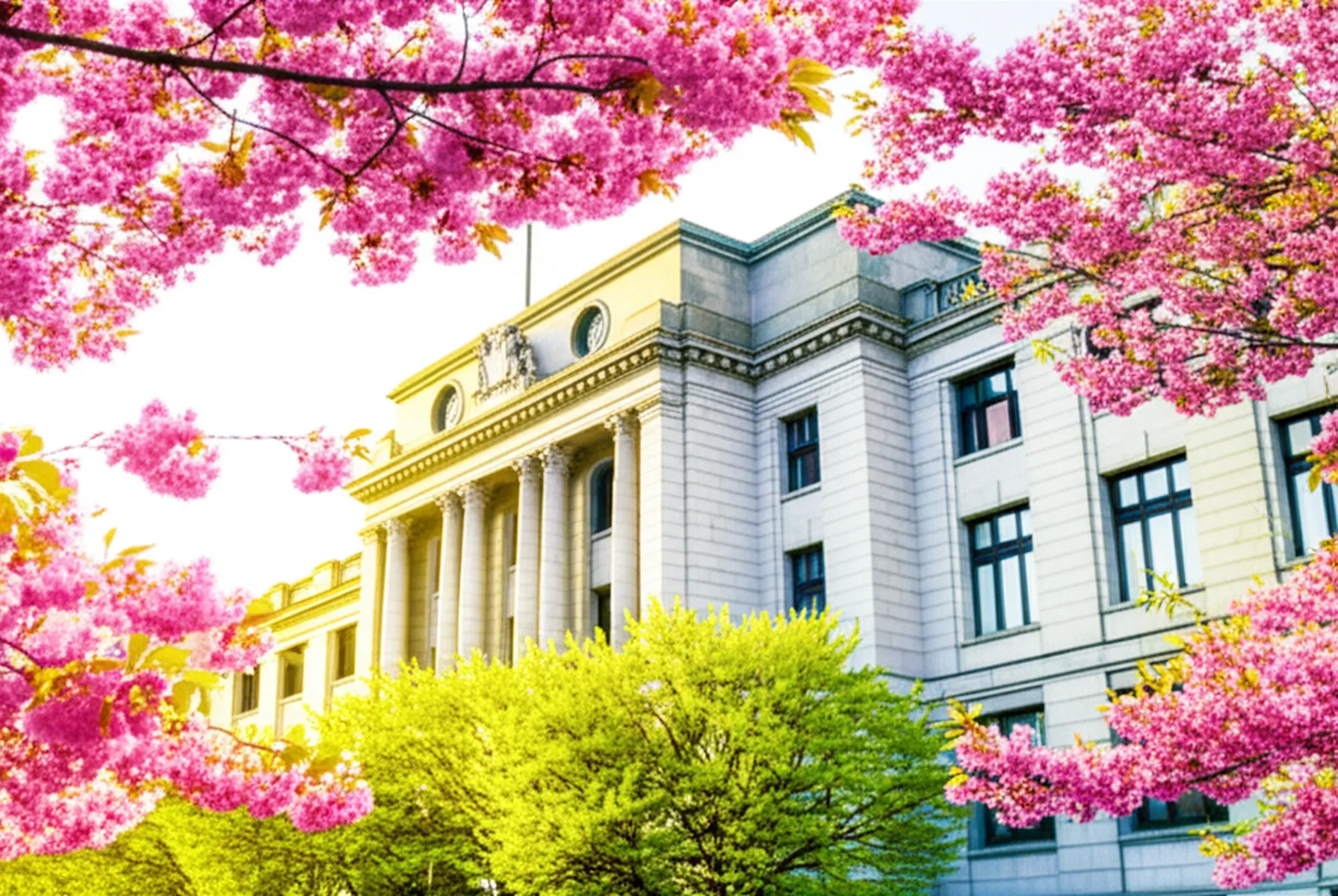 日銀利上げの本質:高属性会社員が今すべき資産防衛術 - 日本銀行本店の重厚な石造りの建物と青空、手前に桜の木が咲いている情景